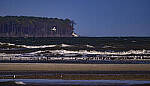 Click to see Y-DP-11373-EDT.JPG