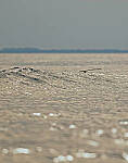 Click to see Y-DP-PC-0598-edt.JPG