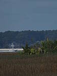 Click to see Y-DPB-0132.JPG