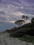 Click to see Y-DPB-0201-EDT.JPG