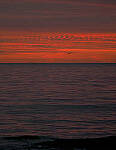 Click to see Y-DPB-P1110068-edt.JPG