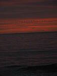 Click to see Y-DPB-P1110068.JPG
