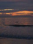 Click to see Y-DPB-P1110079.JPG