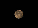 Click to see Y-DPC-0025-EDT.JPG