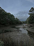 Click to see Y-DPD-HDR-10125-edt.JPG