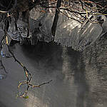 Click to see Y-DPD-LiveND-10002-edt.JPG