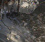 Click to see Y-DPD-LiveND-off-0011-edt.JPG