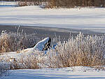Click to see Y-JG-0701-MOD.JPG