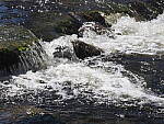 Click to see Y-JG-2846-ND-OFF.JPG