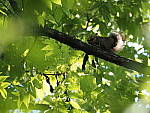 Click to see Y-WB-100_400-EM1X-P7250008.JPG