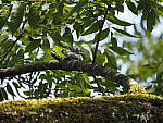 Click to see Y-WB-100_400-EM1X-P7250043.JPG