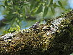 Click to see Y-WB-100_400-EM1X-P7250062.JPG