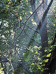 Click to see Y-WB-100_400-EM1X-P7260147.JPG