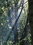 Click to see Y-WB-100_400-EM1X-P7260151.JPG