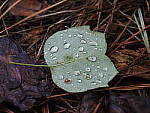 Click to see Y-WB-100_400-EM1X-P7260249.JPG
