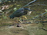 Click to see Y-WB-100_400-EM1X-P7260302.JPG