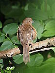 Click to see Y-WB-100_400-EM1X-P7280674.JPG
