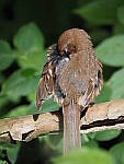 Click to see Y-WB-100_400-EM1X-P7280735.JPG