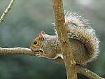 Click to see Y-WB-100_400-EM1X-P7280871.JPG