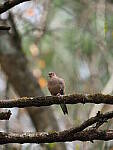 Click to see Y-WB-400-PB060428.JPG
