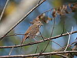 Click to see Y-WB-400-PB080797.JPG