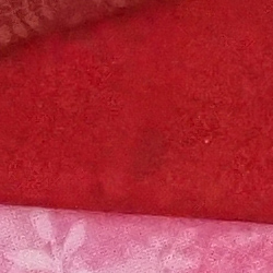 100% crop from Olympus E-M1X test image taken at ISO 3200