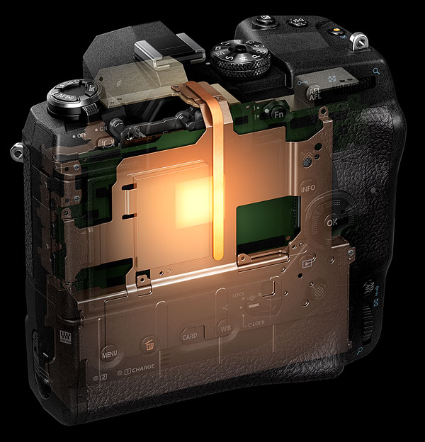 Olympus E-M1X Review -- Product Image