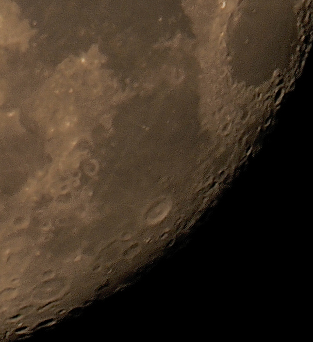 Olympus E-M1X Sample Image