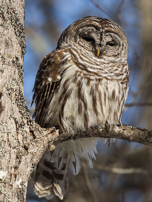 Olympus E-M1X Review: Field Test -- Gallery Image