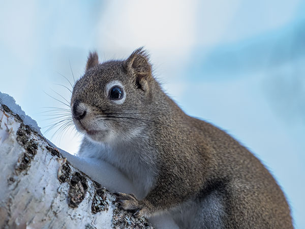 Olympus E-M1X Review: Field Test -- Gallery Image