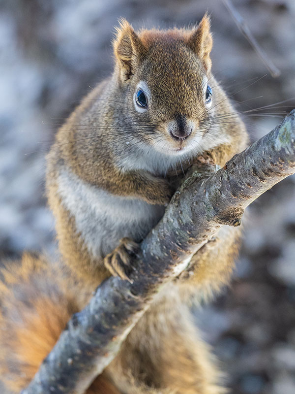 Olympus E-M1X Review: Field Test -- Gallery Image