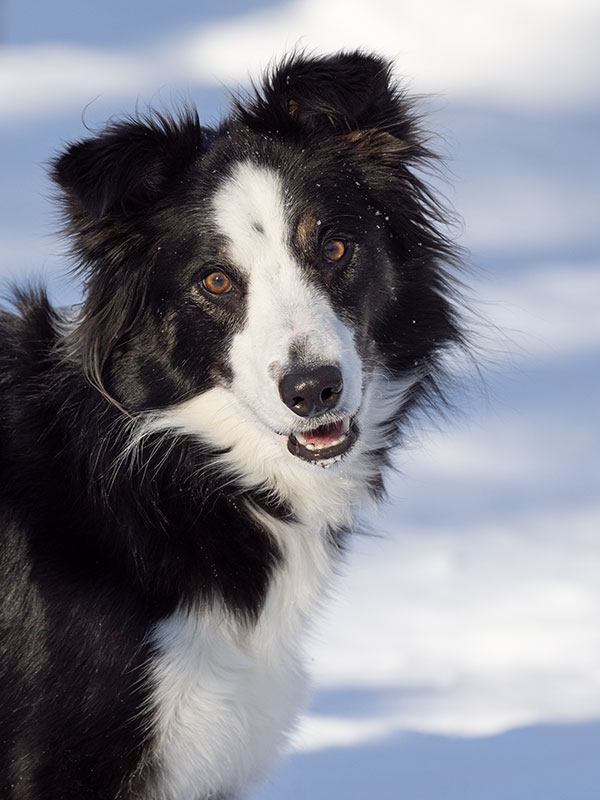 Olympus E-M1X Review: Field Test -- Gallery Image