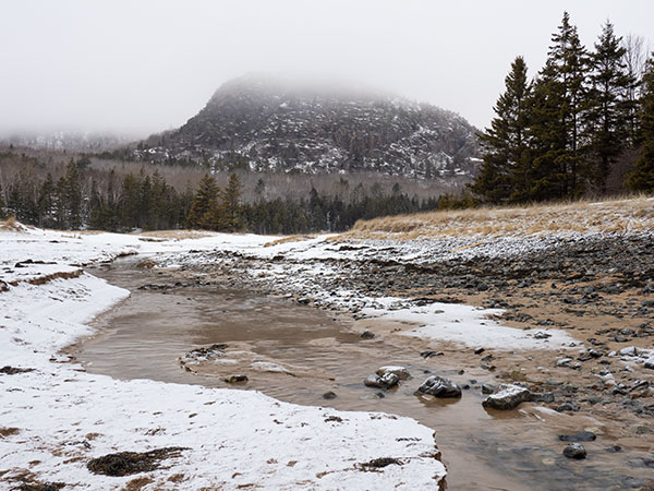 Olympus E-M1X Review: Field Test -- Gallery Image