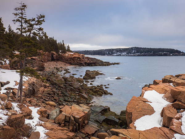 Olympus E-M1X Review: Field Test -- Gallery Image