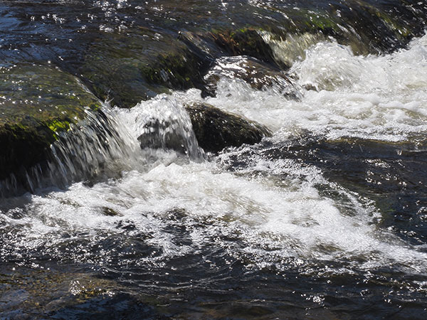 Olympus E-M1X Review: Field Test -- Gallery Image