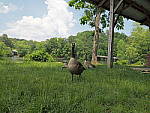 Click to see YA-7-14MM-0126.JPG