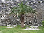 Click to see YP1010007.JPG