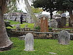 Click to see YP1010881.JPG