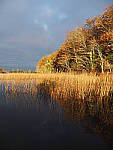 Click to see Y_B070365-12-100MM.JPG