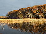 Click to see Y_B070376-12-100MM.JPG