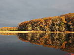 Click to see Y_B070379-12-100MM.JPG