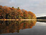 Click to see Y_B070380-12-100MM.JPG