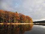 Click to see Y_B070384-12-100MM.JPG