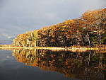 Click to see Y_B070385-12-100MM.JPG