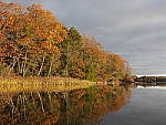 Click to see Y_B070393-12-100MM.JPG