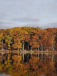 Click to see Y_B070437-12-100MM.JPG