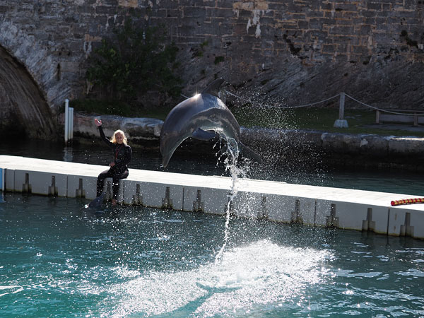 Olympus E-M5 II review -- Sample photo