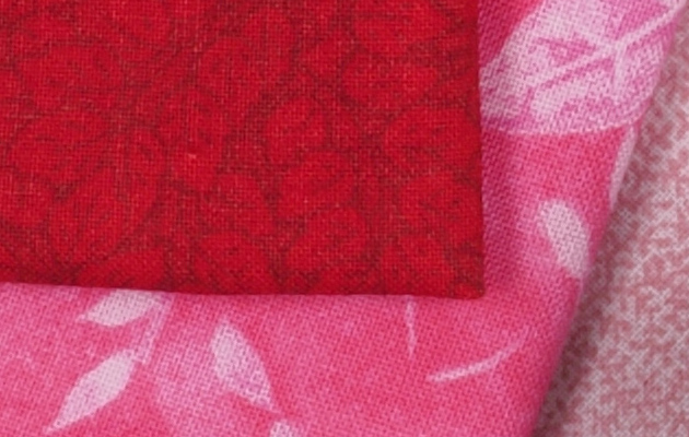 Olympus PEN-F - 100% crop from High Res Shot Mode image