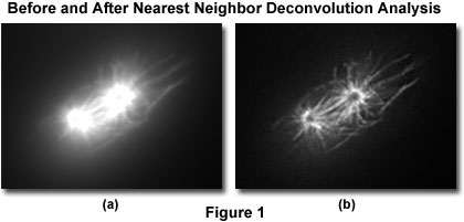 Deconvolusion technology