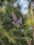 Click to see Y-12-200mm-50041.JPG